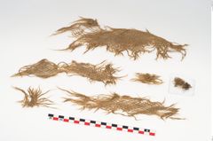 Foto von Textil (NHMW-PRAE-126324)